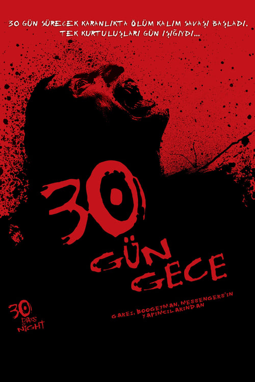 30 Gün Gece (2007) İzle