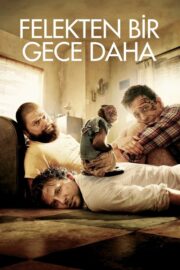 Felekten Bir Gece Daha (2011) İzle