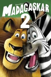Madagaskar 2 (2008) İzle