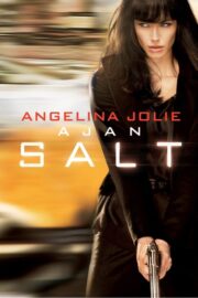 Ajan Salt (2010) İzle