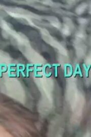 Perfect Day (2007) İzle