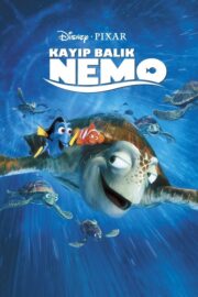 Kayıp Balık Nemo (2003) İzle
