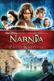 Narnia Günlükleri: Prens Kaspiyan (2008) İzle