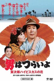男はつらいよ 寅次郎ハイビスカスの花 (1980) İzle