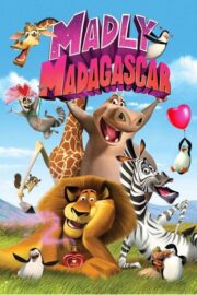 Madly Madagascar (2013) İzle