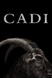 Cadı (2016) İzle