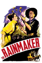 The Rainmaker (1956) İzle