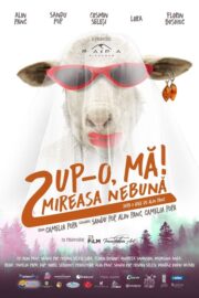 Pup-o, mă! 2: Mireasa nebună (2021) İzle