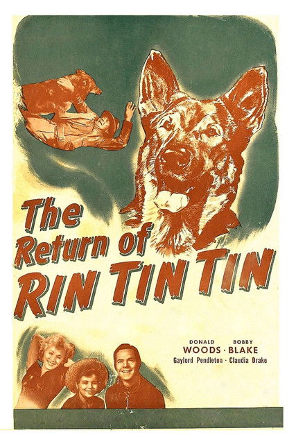 The Return of Rin Tin Tin (1947) İzle