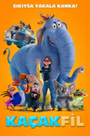 Kaçak Fil (2024) İzle