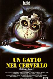 Un gatto nel cervello (1990) İzle