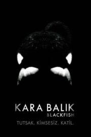Kara Balık (2013) İzle