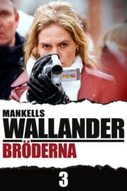 Bröderna (2005) İzle
