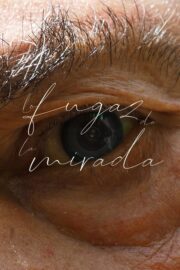 Lo fugaz de la mirada (2024) İzle