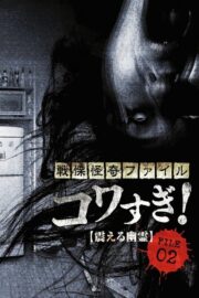戦慄怪奇ファイル コワすぎ！ FILE-02 震える幽霊 (2012) İzle