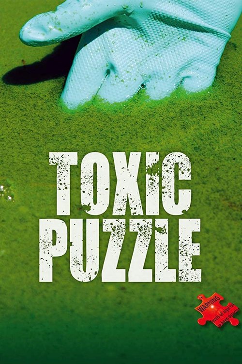 Toxic Puzzle (2017) İzle