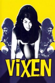 Vixen! (1968) İzle
