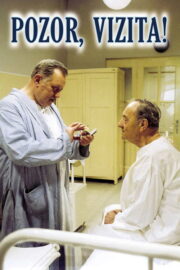 Pozor, vizita! (1982) İzle