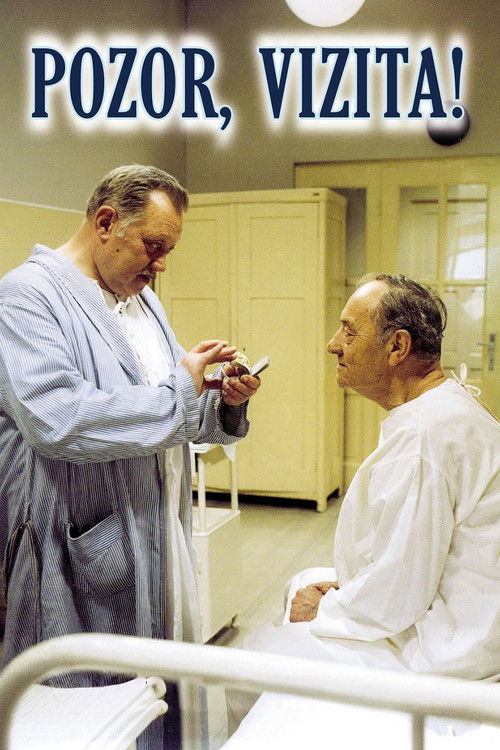 Pozor, vizita! (1982) İzle