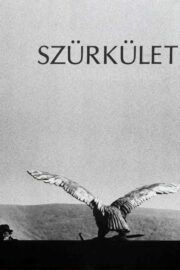 Szürkület (1990) İzle