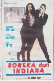 Boneka dari Indiana (1990) İzle