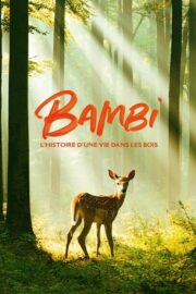 Bambi, l’histoire d’une vie dans les bois (2024) İzle