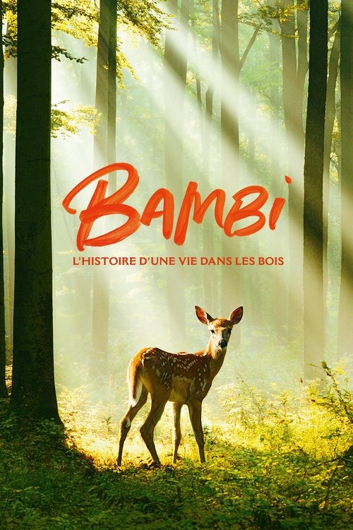 Bambi, l’histoire d’une vie dans les bois (2024) İzle