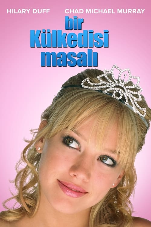 Bir Külkedisi Masalı (2004) İzle