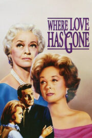 Where Love Has Gone (1964) İzle