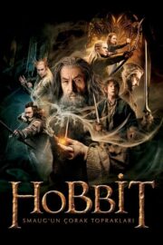 Hobbit: Smaug’un Çorak Toprakları (2013) İzle