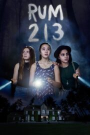 Rum 213 (2017) İzle