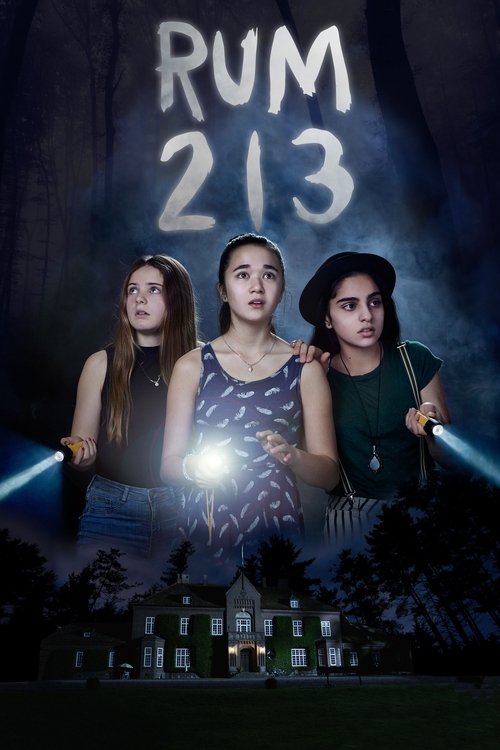 Rum 213 (2017) İzle