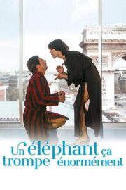 Un éléphant ça trompe énormément (1976) İzle