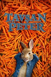 Tavşan Peter (2018) İzle