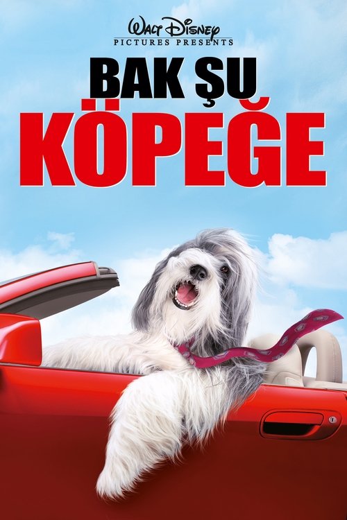 Bak Şu Köpeğe (2006) İzle