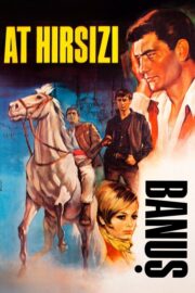 At Hırsızı: Banuş (1967) İzle