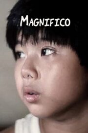 Magnifico (2003) İzle