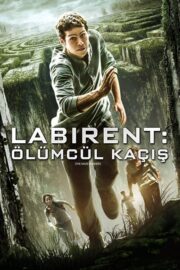 Labirent: Ölümcül Kaçış (2014) İzle