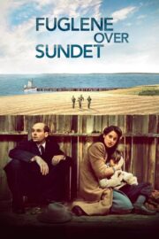 Fuglene over sundet (2016) İzle