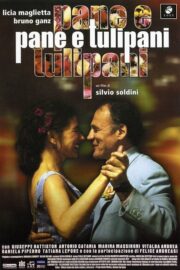 Pane e tulipani (2000) İzle