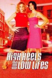 High Heels and Low Lifes (2001) İzle