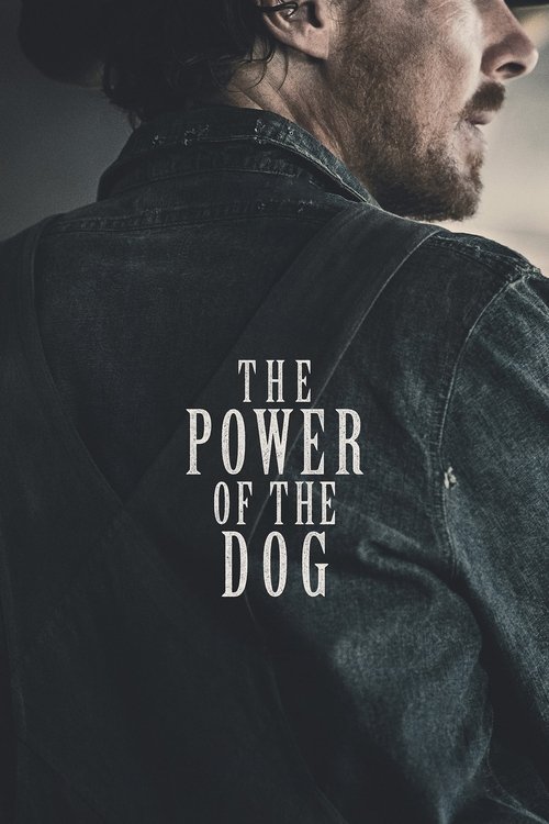 The Power of the Dog (2021) İzle