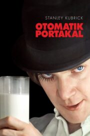 Otomatik Portakal (1971) İzle