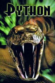 Python (2000) İzle