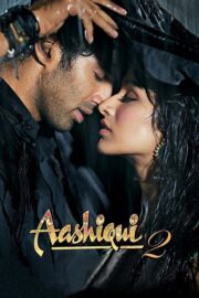 Aşk İçin Hayat 2 / Aashiqui 2 (2013) İzle