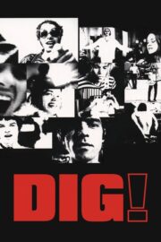 Dig! (2004) İzle