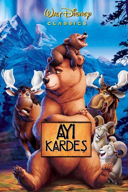Ayı Kardeş (2003) İzle