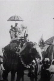 Procession of Elephants with Howdahs – India (1905) İzle
