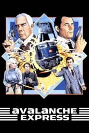 Avalanche Express (1979) İzle
