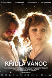 Křídla Vánoc (2013) İzle